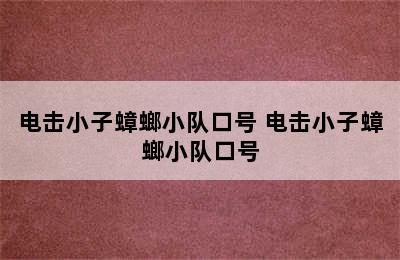 电击小子蟑螂小队口号 电击小子蟑螂小队口号